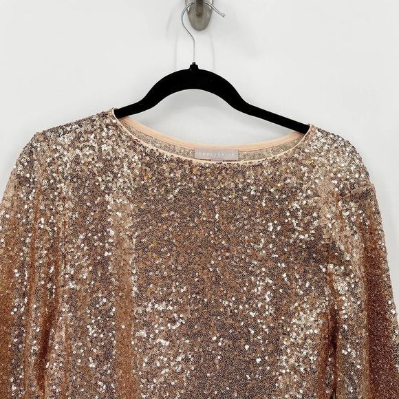 CHELSEA28 Sequin Crewneck Short Sleeve Top In Beige- Silver‎ Sequin NWT Size XS - Picture 8 of 8